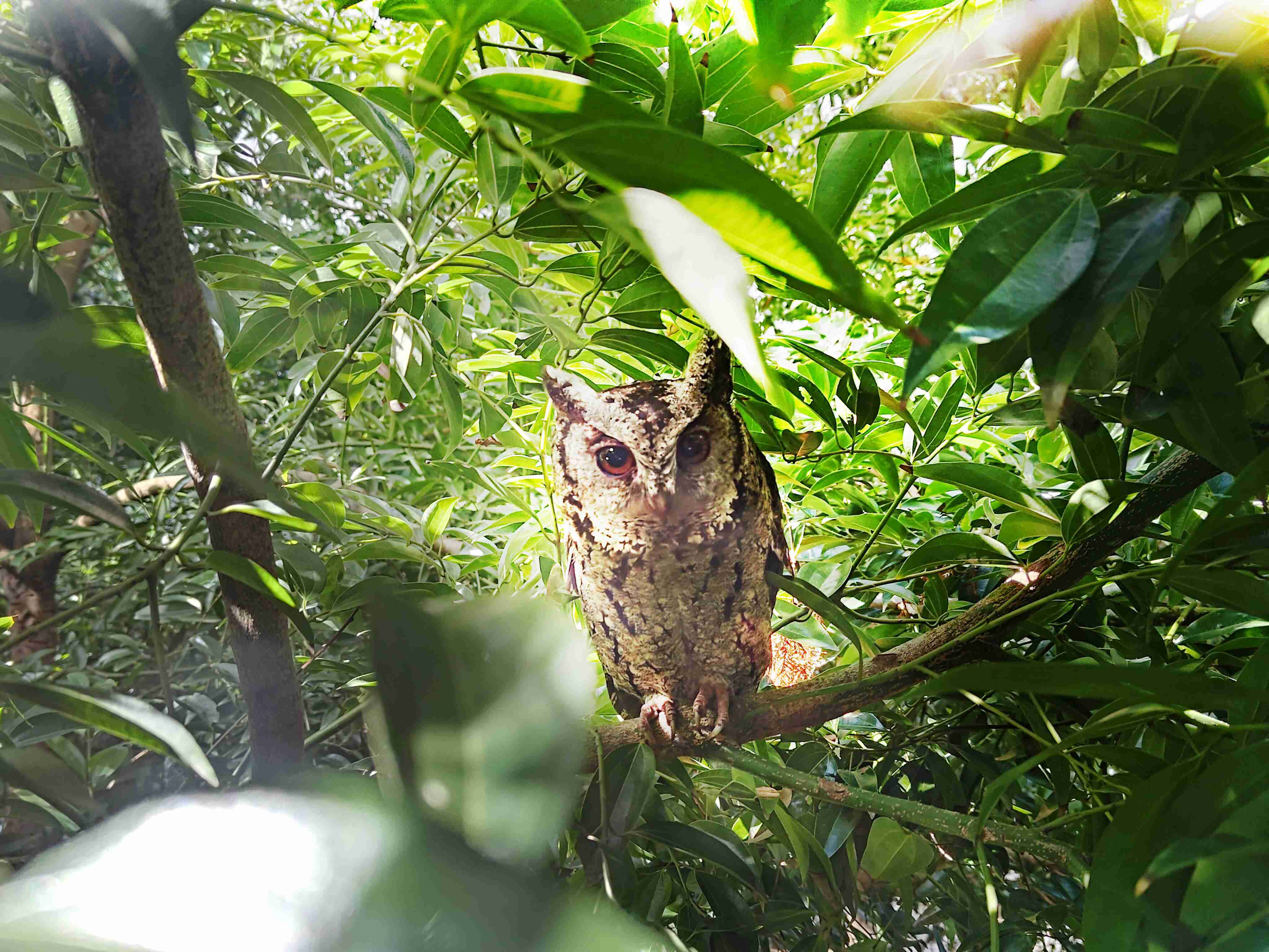 PG国际致力提倡净零绿生活，，，16年以来在全球各厂区植树逾百万棵，，，，造就各厂区树木蔚然成林，，犹如森林工厂，，，成为许多生物的栖息地
